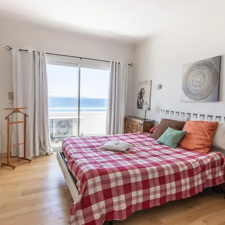 L'aragnascu Ajaccio (Corsica)